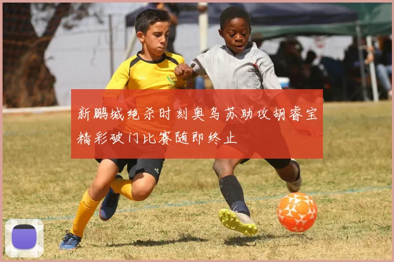 新鹏城绝杀时刻奥乌苏助攻胡睿宝精彩破门比赛随即终止